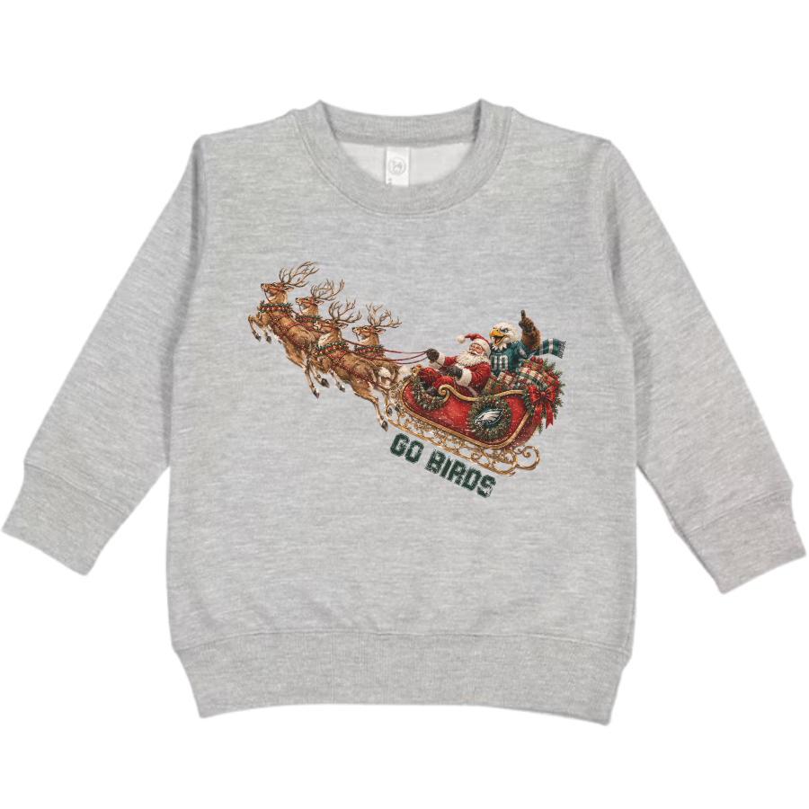 Santa Go Birds (kids and adults)